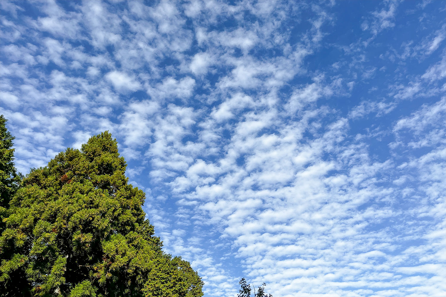 サウナの楽しみ方